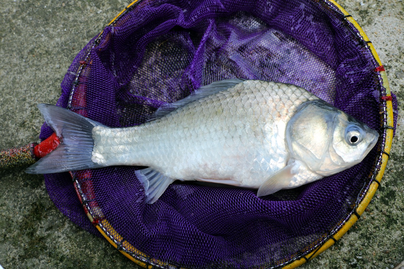 c2e63c68f3c4283767d8e3937ea397d0_1783843399_322.jpg