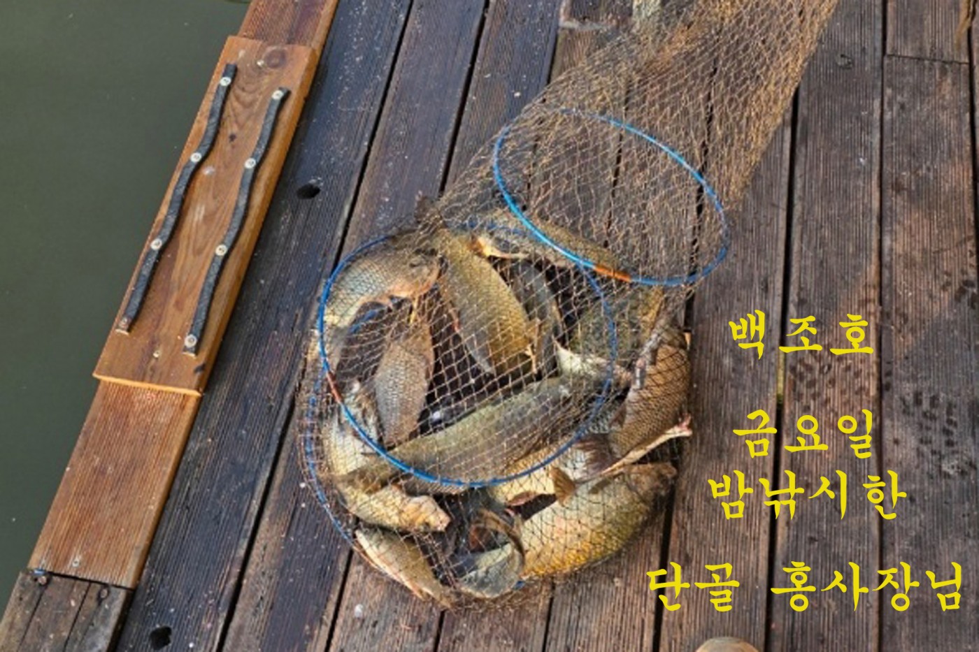 55a547e9ac4c5e4570de62e8d52a23a5_1792305430_9315.jpg