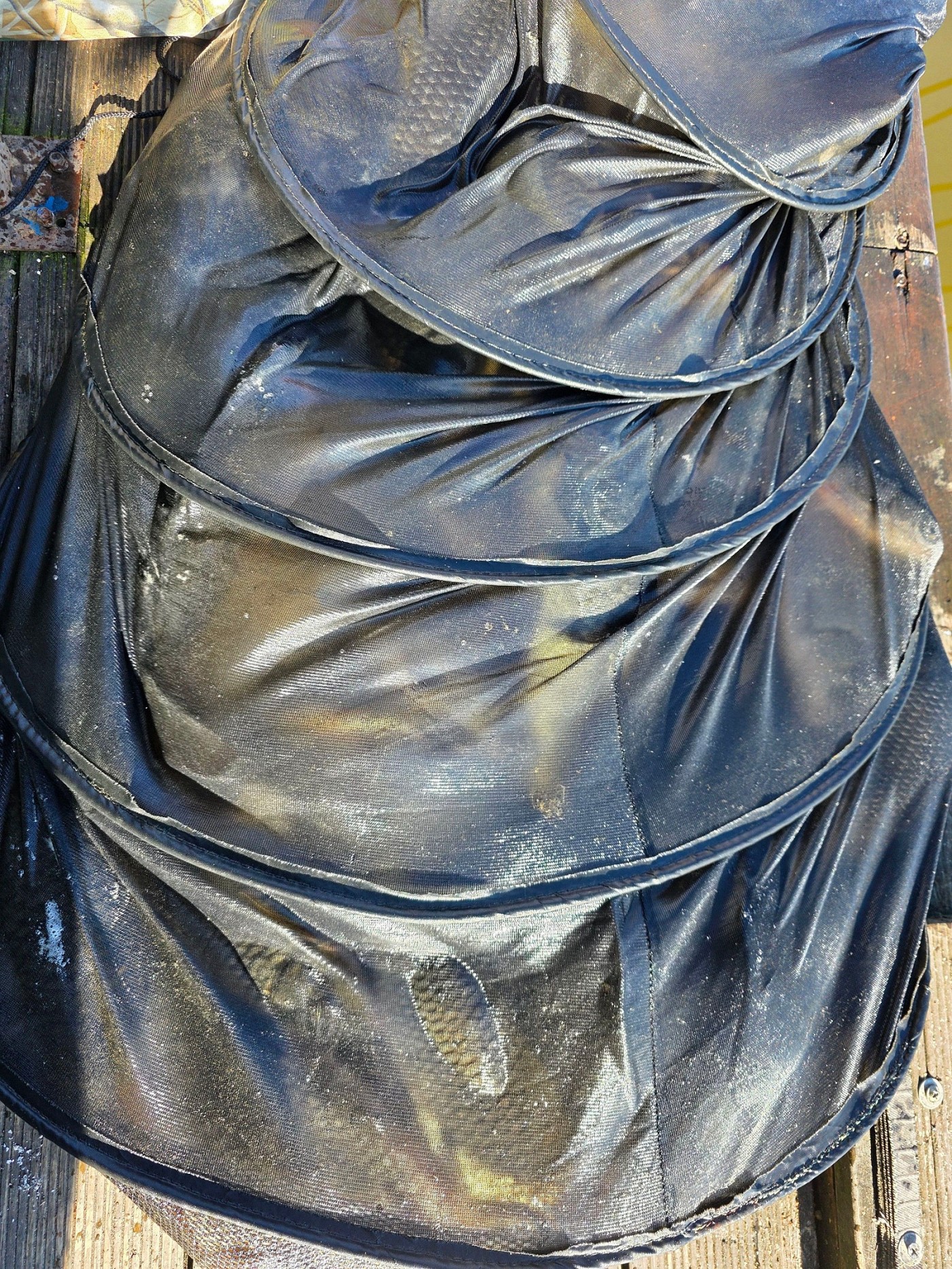 92626bd41b24e7b39d0165d36ab61c9e_1791248338_9074.jpg